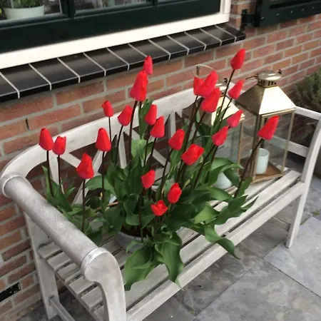 Flowerbed *