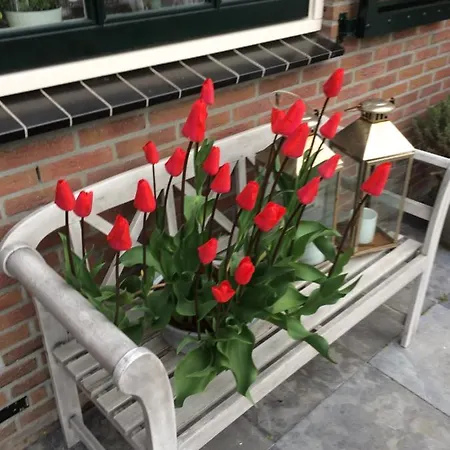 Flowerbed 4*
