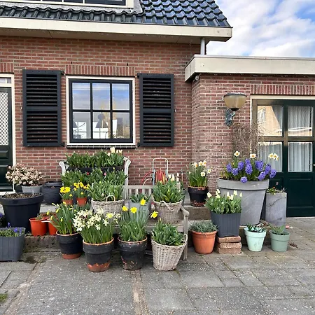 Flowerbed * Voorhout