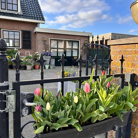 Flowerbed *