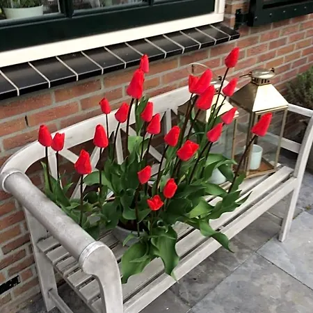 Flowerbed 4* Voorhout