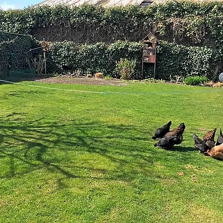 Flowerbed