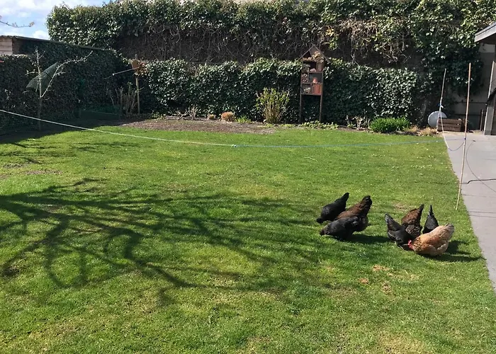 Flowerbed Bed & Breakfast 4*