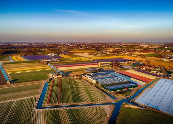 Bed & Breakfast Flowerbed Voorhout