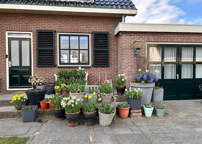 Flowerbed 4* Voorhout